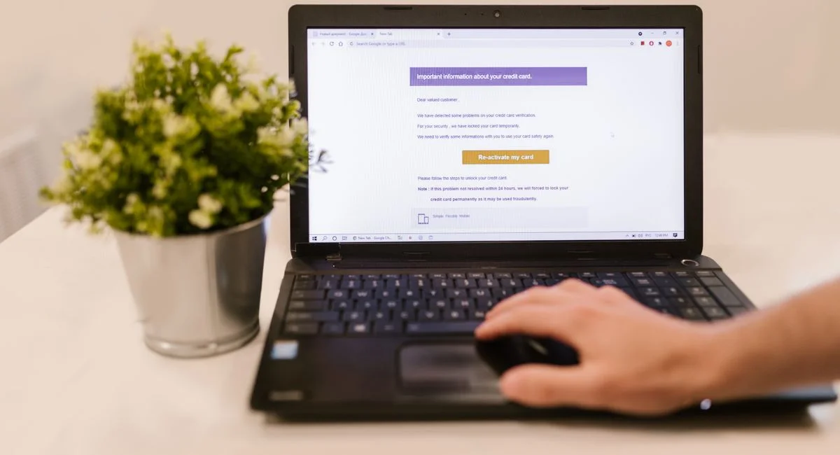 Person using a laptop to read an email indoors beside a potted plant.